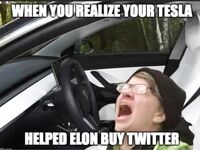 Random memes for no reason