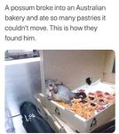 Random funny memes for your weekend