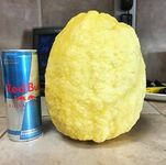 Funny pictures to keep you laughing!