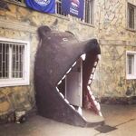 Funny pictures to keep you laughing!