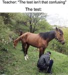 Funny pictures to keep you laughing!