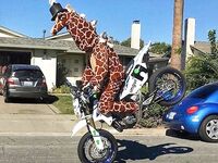 Funny pictures to keep you laughing!