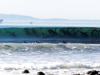 Funny and cool pics from the Internet