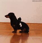 Funny and cool pics from the Internet