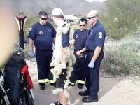 More cool and funny pictures from the Internet