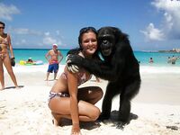 More cool and funny pictures from the Internet