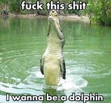 More cool and funny pictures from the Internet