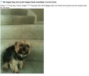 More cool and funny pictures from the Internet