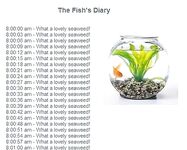 More cool and funny pictures from the Internet