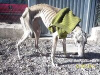 Who needs some funny pics? Here ya go!