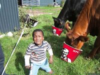 Who needs some funny pics? Here ya go!