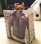 Who needs some funny pics? Here ya go!